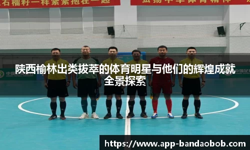陕西榆林出类拔萃的体育明星与他们的辉煌成就全景探索