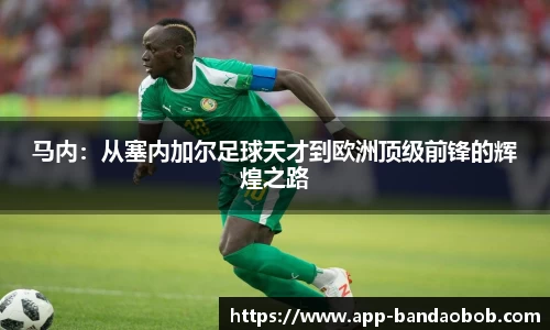 BOB半岛体育