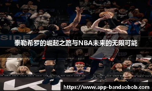 BOB半岛官网